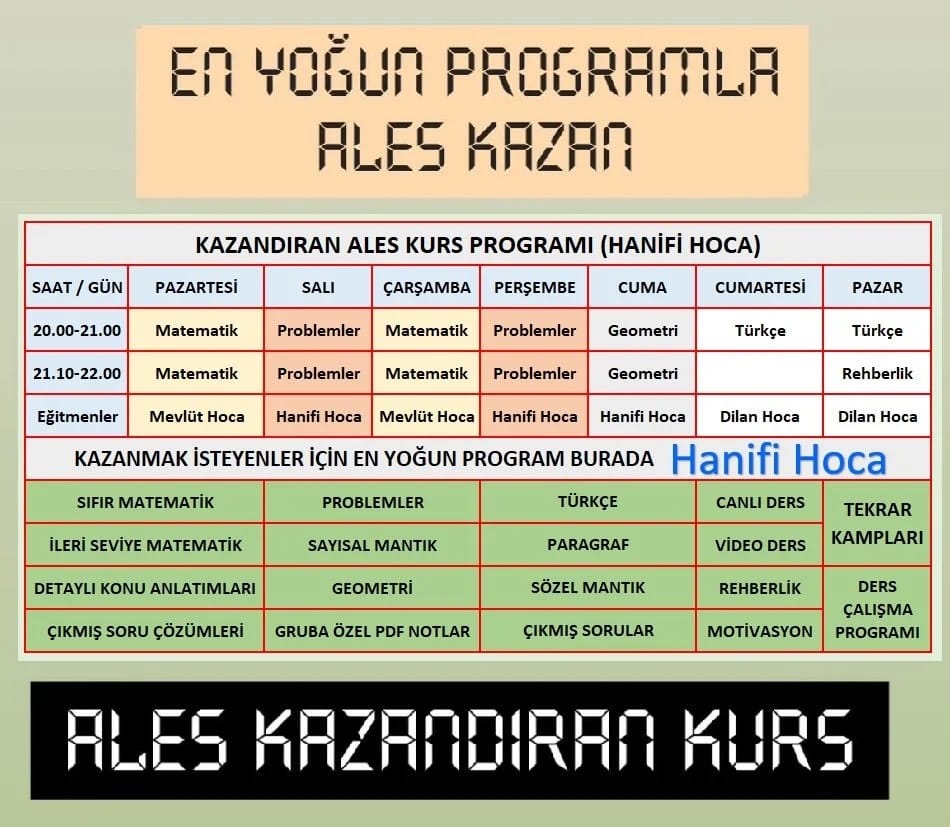 ALES Online Kurs Programı
